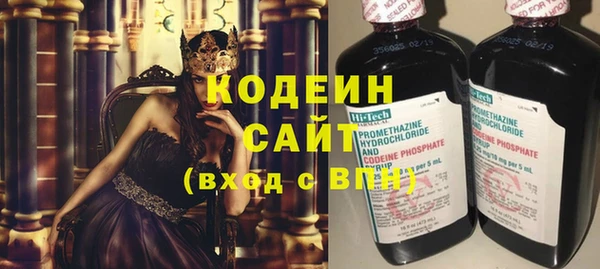 не бодяженный Алексин